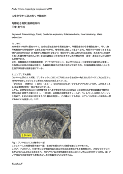 Niche Neuro-Angiology Conference 2015 古生物学から読み解く神経