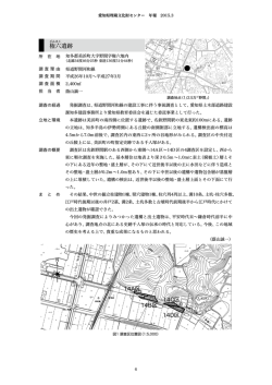 権六遺跡  - 愛知県埋蔵文化財センター