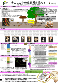 菌根形成への利用 ~植物-菌類