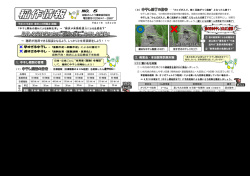 稲作情報 NO.5 - JA越後さんとう