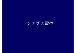 第9回