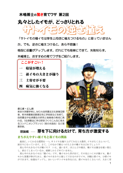 丸々としたイモが，どっさりとれる