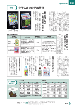 中干しまでの肥培管理