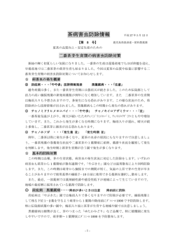 茶病害虫防除情報 - JA鹿児島県経済連