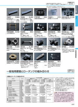 一般地用便器とロータンクの組み合わせ