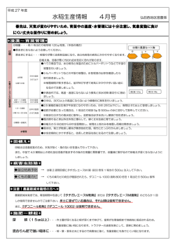 水稲生産情報 4月号