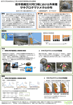 岩手県織笠川河口域における外来種 サキグロタマツメタの分布