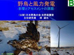 野鳥と風力発電 - オーフス条約を日本で実現するNGOネットワーク