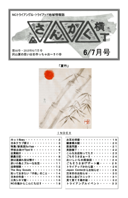 三角横丁44号 - Realty Triangle