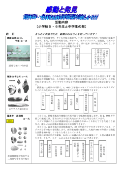 詳細はこちら - 名古屋市教育スポーツ協会