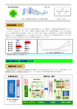 第37号（平成27年 4月発行）