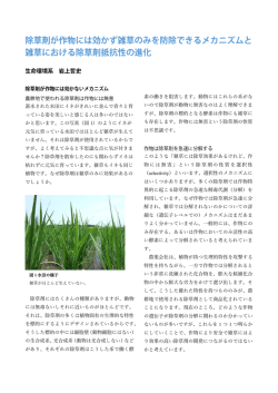 詳細はこちらへ - 生命環境科学研究科