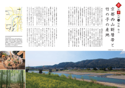 京 都 西 山 断 層 帯 と 竹 の 子 の 産 地
