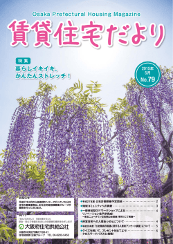 PDF 版