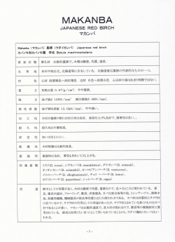 マカンバ (PDF 3002KB)