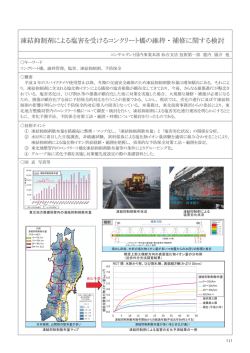 凍結抑制剤による塩害を受けるコンクリート橋の維持・補修に関する検討