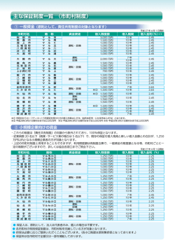 主な保証制度一覧 （市町村制度）