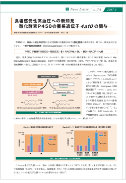 食塩感受性高血圧への新知見 酸化酵素P450の亜系遺伝子 の関与