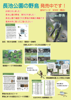 長池公園の野鳥 発売中です!