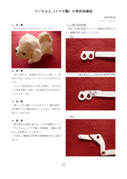 ワンちゃん（イワヤ製）の骨折治療法
