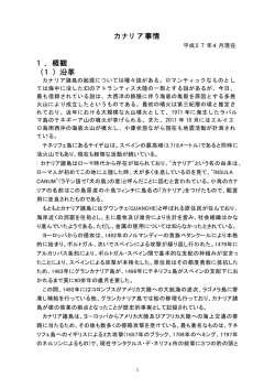カナリア諸島事情
