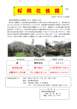 桜開花情報 - 美都町特産観光協会