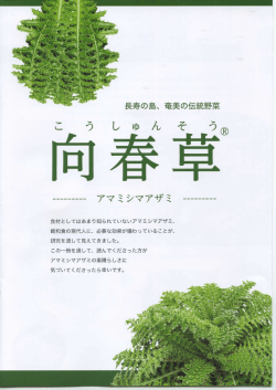 向春草パンフレット（pdf） - 特定非営利活動法人 奄美機能性食品開発
