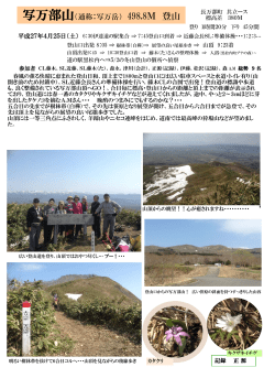 写万部山（通称：写万岳） 498.8M 登山