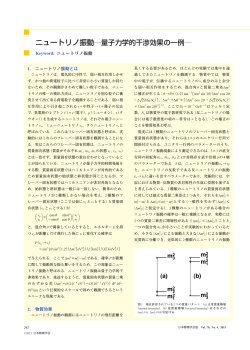 ニュートリノ振動―量子力学的干渉効果の一例―