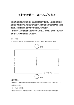 ＜ドッヂビー ルールブック＞