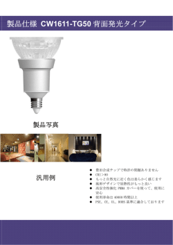 製品仕様 CW1611-TG50 背面発光タイプ