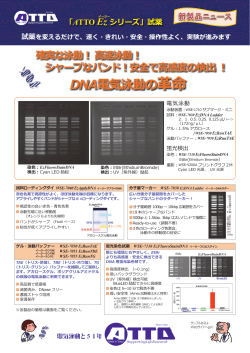 DNA電気泳動の革命