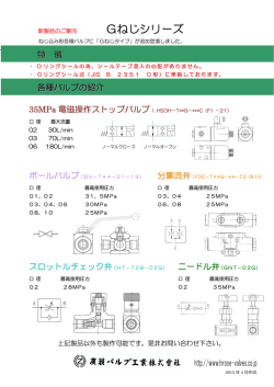 Gねじシリーズ