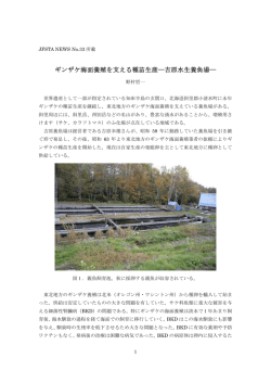 ギンザケ海面養殖を支える種苗生産―吉原水生養魚場―