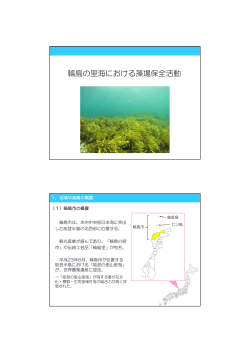 輪島の里海における藻場保全活動 - 水産多面的機能発揮対策情報サイト
