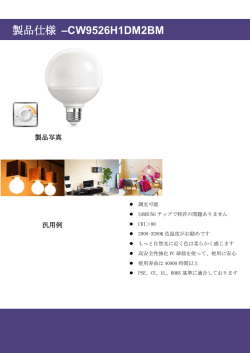 製品仕様 &ndash;CW9526H1DM2BM