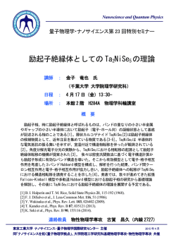 励起子絶縁体としての Ta2NiSe5 の理論