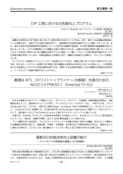 DIP 工程における白色度向上プログラム 最適な