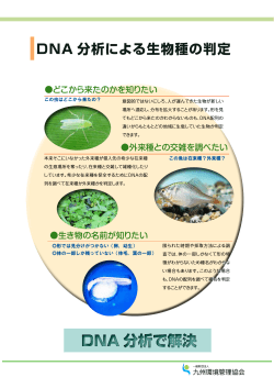DNA 分析による生物種の判定