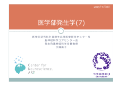 医学部発  生学(7) - 東北大学大学院医学系研究科 発生発達神経科学分野
