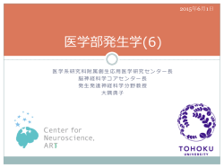 医学部発  生学(6) - 東北大学大学院医学系研究科 発生発達神経科学分野