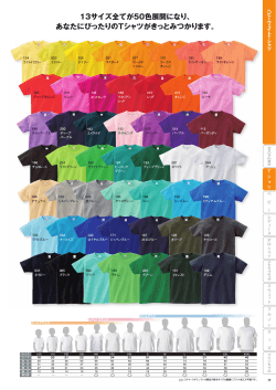 13サイズ全てが50色展開になり - オリジナルプリント Tシャツ CREW