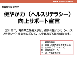 H27年度 健やか力（ヘルスリテラシー）向上サポート