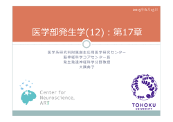 医学部発  生学(12)：第17章 - 東北大学大学院医学系研究科 発生発達