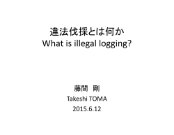 違法伐採とは何か What is illegal logging?