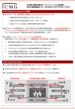 ICMG Business Accelerator パンフレット※PDFファイル