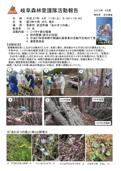 武並活動 - 岐阜森林愛護隊