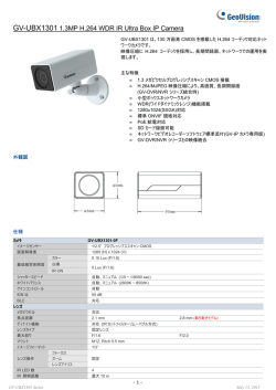 GV-UBX1301 - GeoVision
