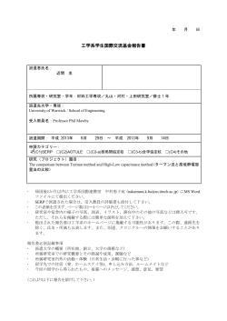 工学系学生国際交流基金報告書