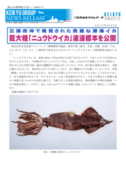 巨大種「ニュウドウイカ」液浸標本を公開